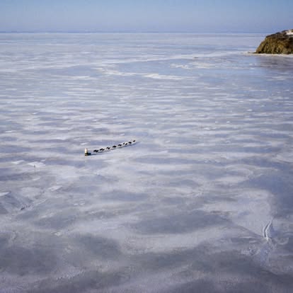 IditarodJeff's tweet photo. 100th anniversary diphtheria Serum Run
Jan 27 - Feb 1, 1925
Twenty men and 125 sled dogs ran antitoxin along the mail trail, Nenana to Nome.

Seppala and his lead dog Togo traveled many miles across the barren and windblown Norton Sound, pictured here in an early Iditarod race. https://t.co/uWW7b5oo5r