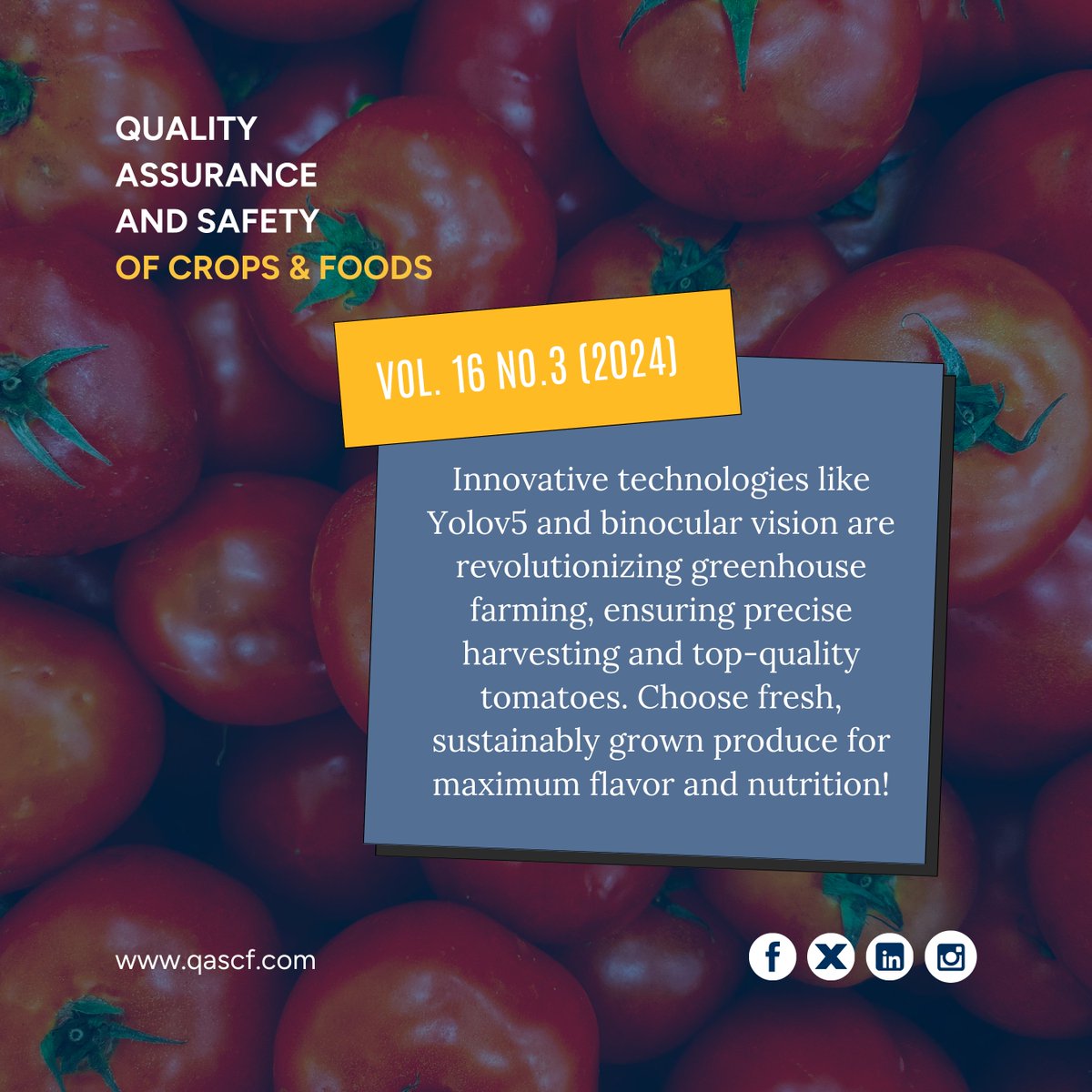 journalQAS's tweet image. Yolov5 and binocular vision are transforming greenhouse farming with precise harvesting, delivering fresher, high-quality tomatoes. Opt for sustainably grown produce to enjoy better taste and nutrition!

Read the full article at : qascf.com/index.php/qas/…
.
.
.
#FreshTomatoes