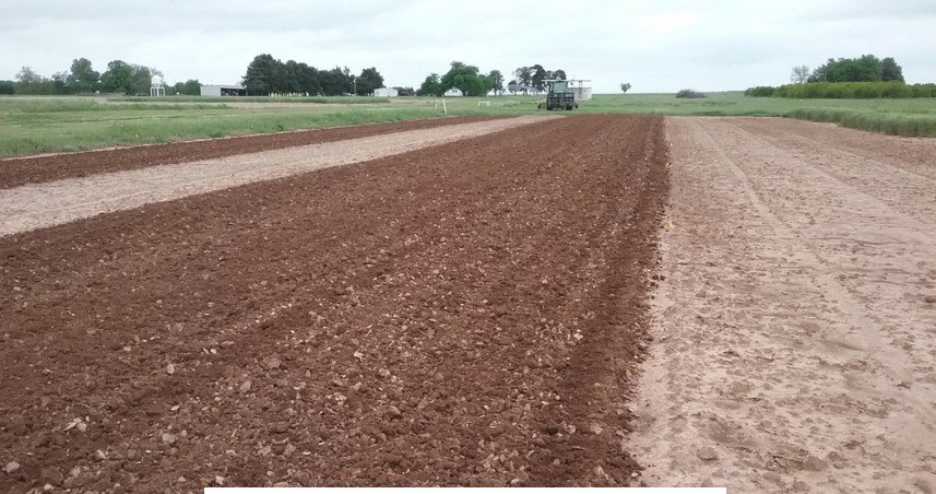 Land Use Planning brings the future into the present, allowing you to take action now.

If you’ve recently acquired a farm and need guidance, get Afrostain Farm’s land use plan to start effectively.

Together, we can create a system that maximizes your land's potential. Don’t