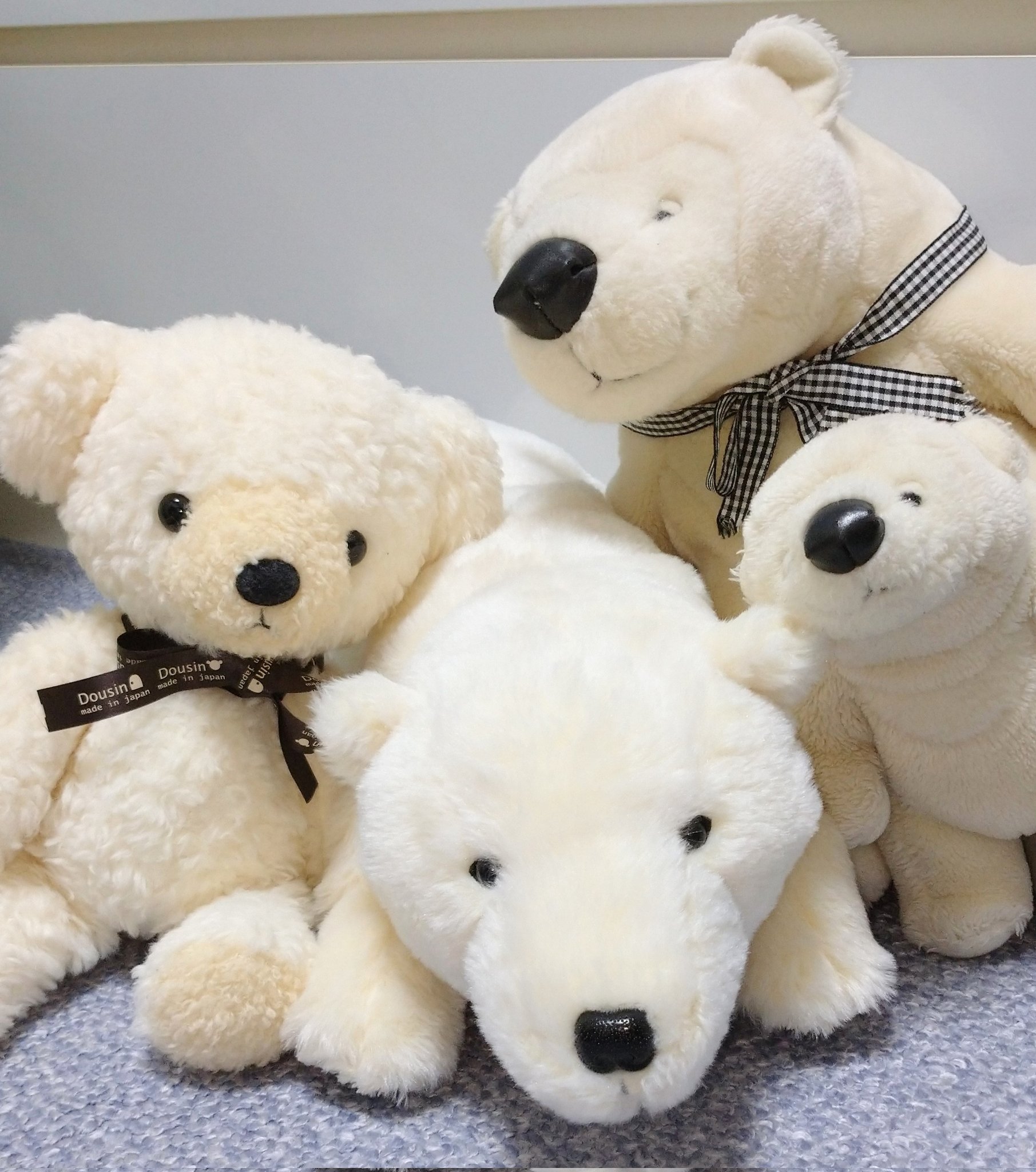 モンスイユ くまのマレーちゃん 【公式通販】