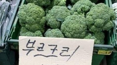 BRBR_suit's tweet photo. 브류께리 https://t.co/IUgBoYxGAX