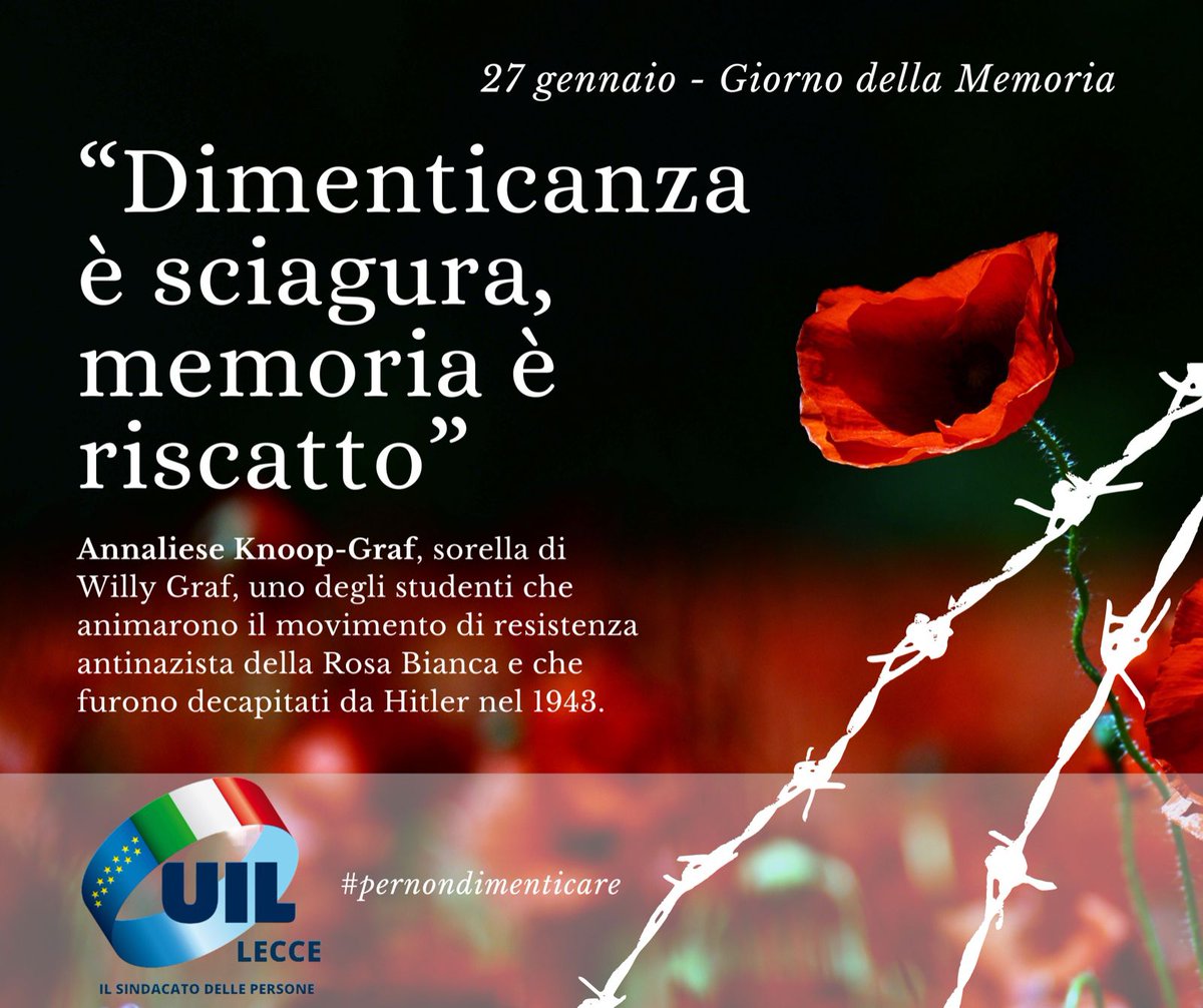 Coordinamento UIL Lecce tweet media