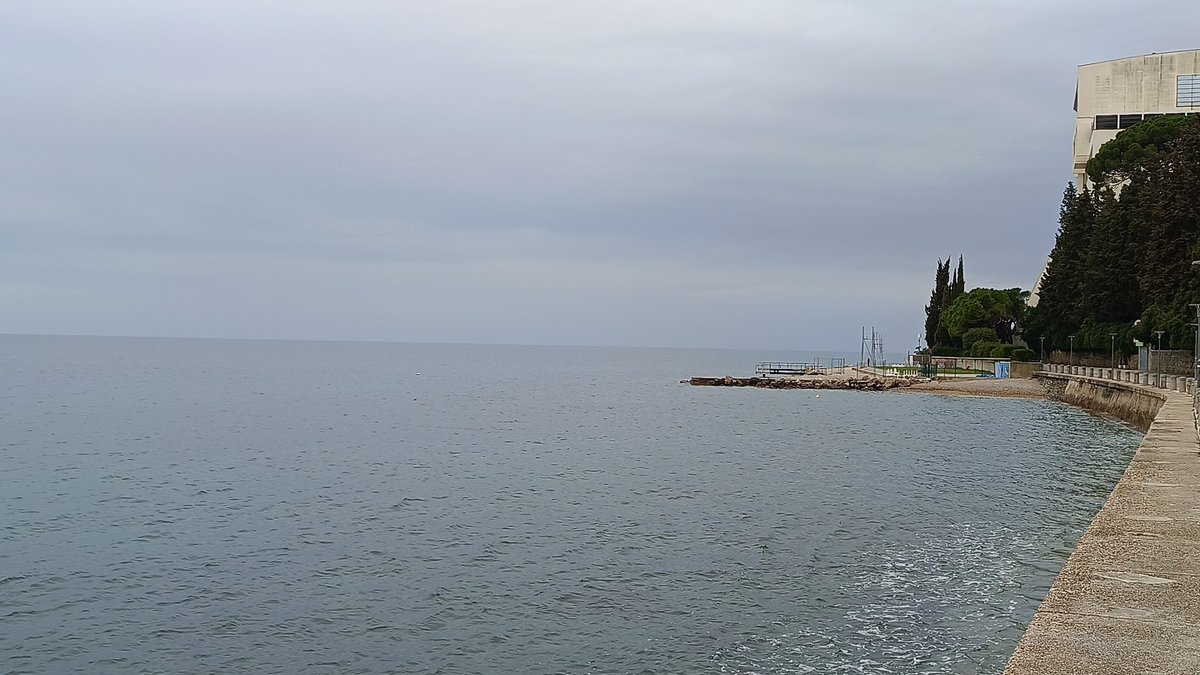 ecmnp25's tweet photo. Do you know where you are going to be in 8 months' time? We hope to see you in Piran, Slovenia 🇸🇮 at the #ecmnp25 https://t.co/ajREPZhlIq