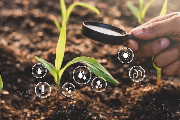 UjuziKilimo's tweet photo. #DYK Over 33% of global soils are degraded, reducing crop yields by up to 70%. 🌍 Soil testing can boost yields by 40% and cut costs. Healthy soil = thriving crops! 🌱

#SoilHealth #SustainableFarming #SoilFacts #UjuziKilimo #SoilTesting https://t.co/K7FsIrtL6c