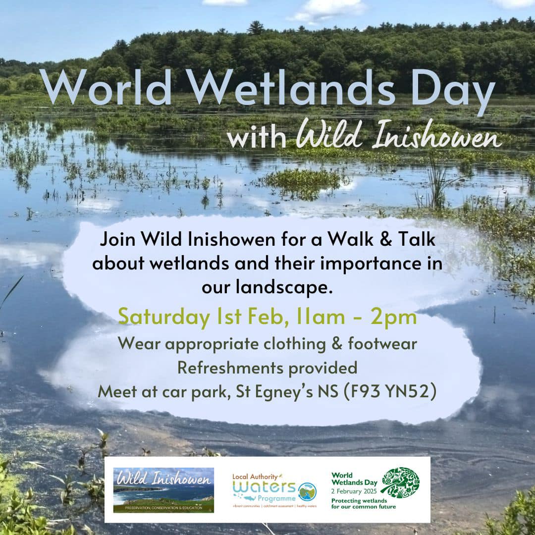 Come join us on February 1st for a "Walk and Talk" event to celebrate World Wetlands Day with the Wild Inishowen Club!  Please bring your wellies or suitable footwear.  Meeting at St Egney's National School, Desertegney, Buncrana (F93 YN52) @ 11am