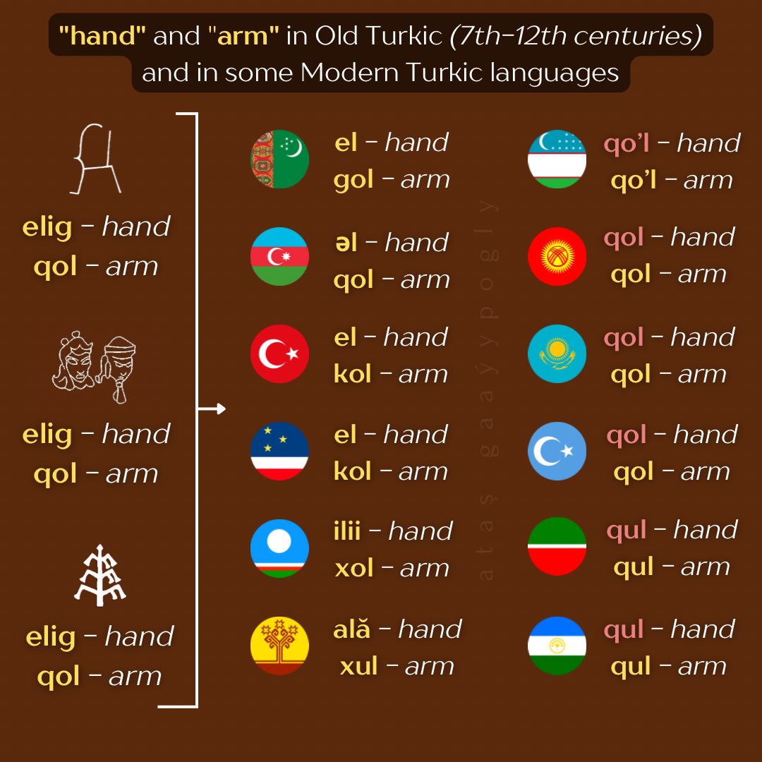 gaayypogly's tweet photo. "hand" and "arm" in Old Turkic (7th-12th centuries) and in some Modern Turkic languages

#oldturkic #turkic #turkmen #turkology https://t.co/xFGr0JZYgh