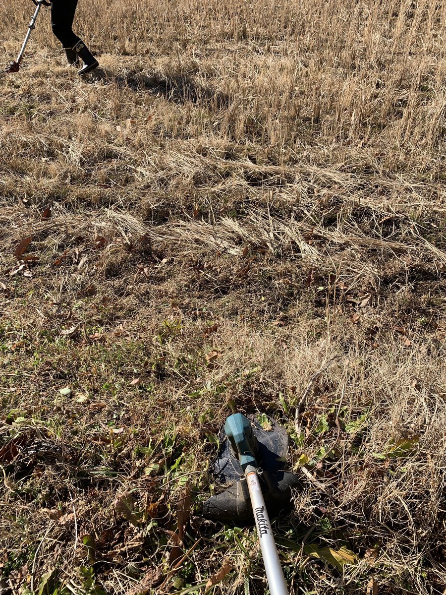 Ra1000Jyo's tweet photo. いろいろあってなかなか
取り掛かれなかった米作り…

いろんな方々の手をかりて、
田んぼを整備ができるよう���なり、
今年もお米が作れる！

 #米作り https://t.co/h666CDjUsh