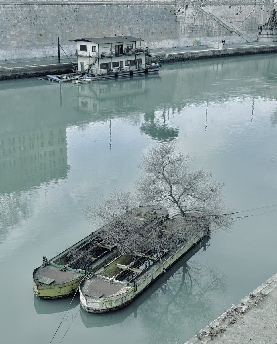 Domenico Franco tweet media