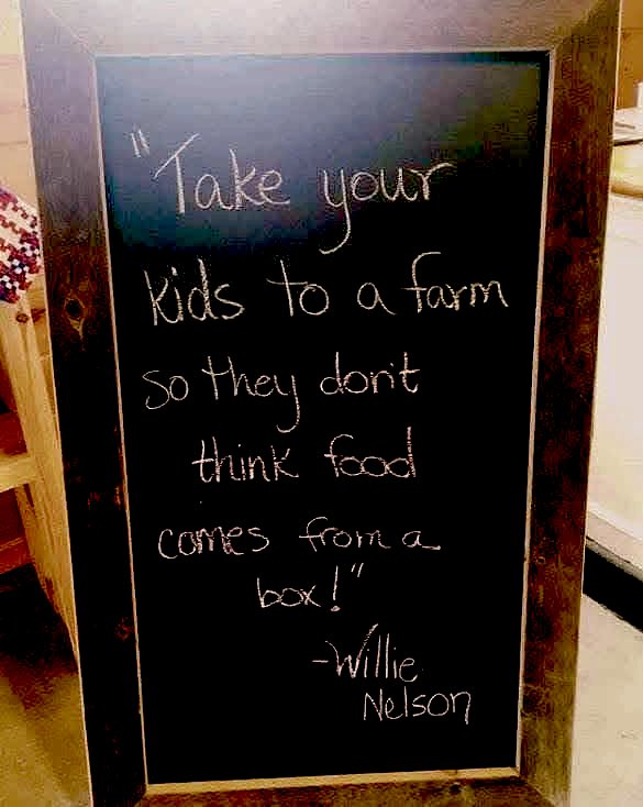 NoFarmsNoFoods's tweet image. 