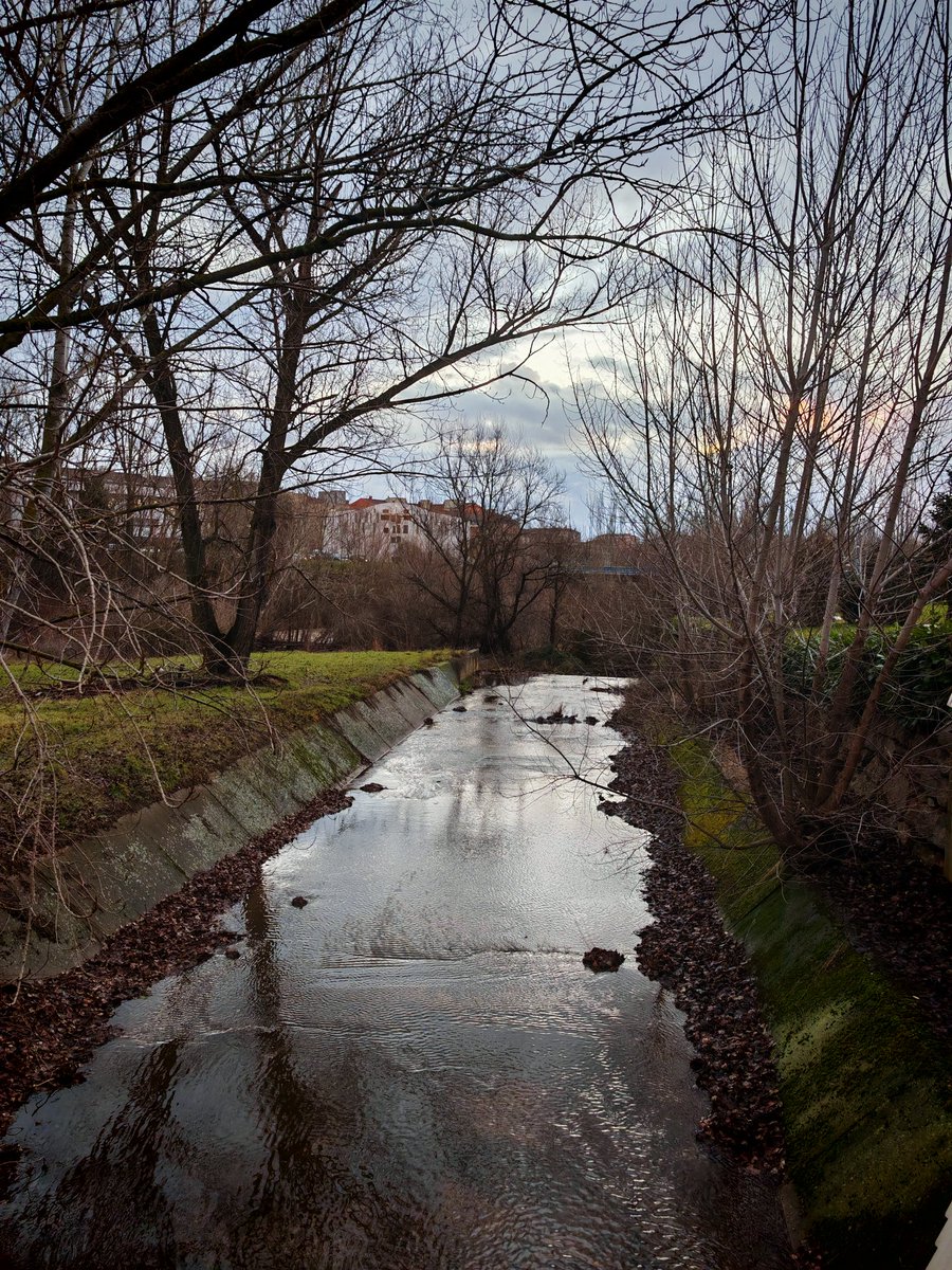 Sooydeleon's tweet photo. Canal del Carbosillo.
León. https://t.co/E0kdov4mGt