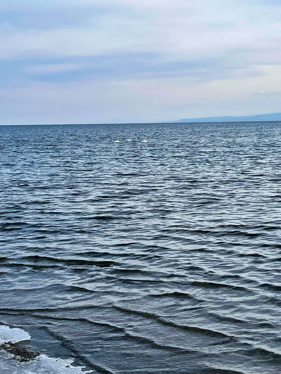 akenova20's tweet photo. Хо-ро-шо  🌬️🌊 https://t.co/G36ymRf9xm