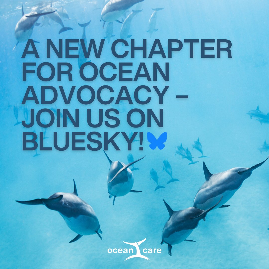 One week left until we fully move to Bluesky!🦋 Don’t miss out – follow us here: bsky.app/profile/oceanc…      #Bluesky #eXit