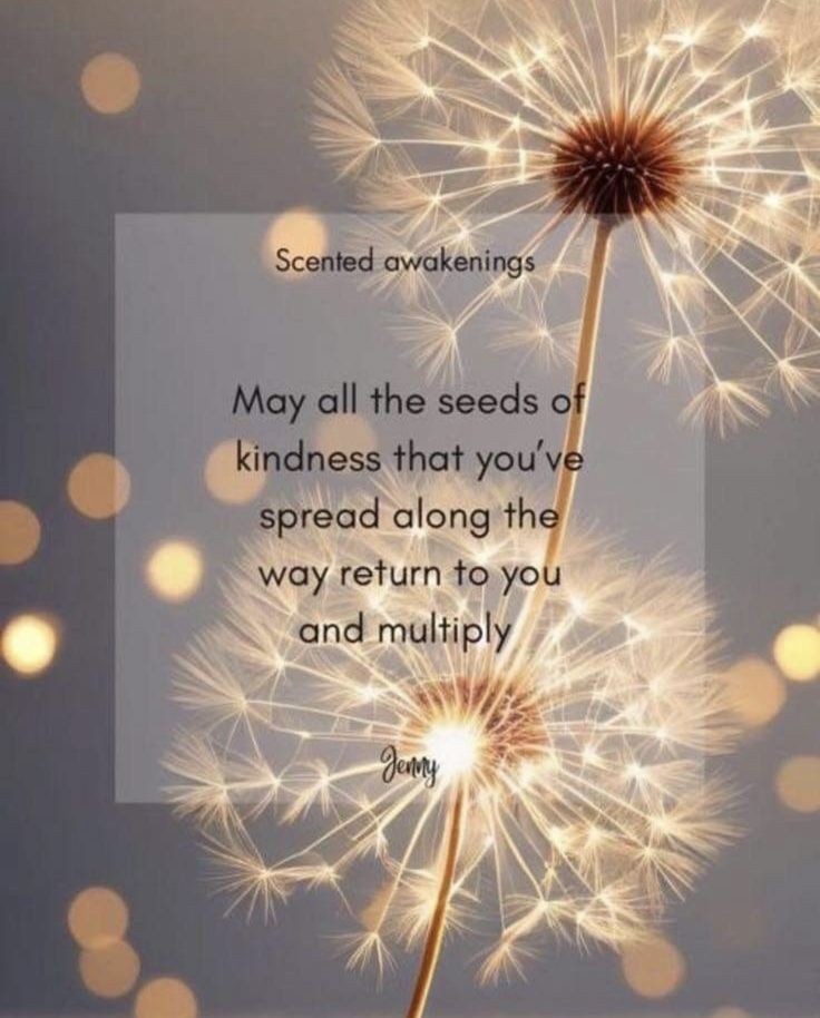PositivitySaid's tweet photo. https://t.co/IjPahm79Sc