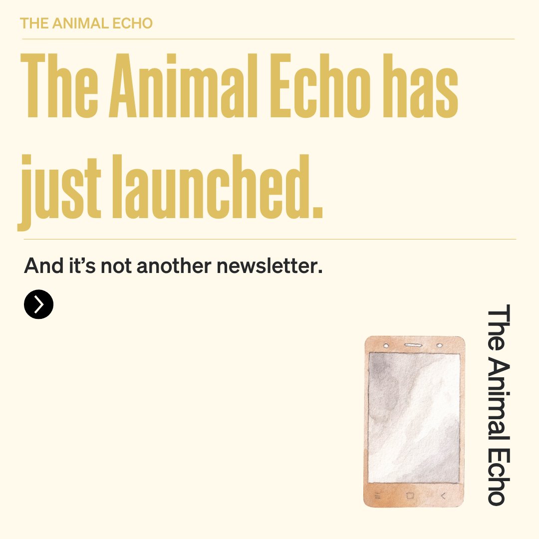 WOAH's tweet photo. We’re thrilled to unveil, 'The Animal Echo’, WOAH’s newest online space for knowledge-sharing and dialogue. 

This space will dive deep into animal health and welfare, featuring scientific research, thought-provoking articles, and expert stories from a variety of contributors.