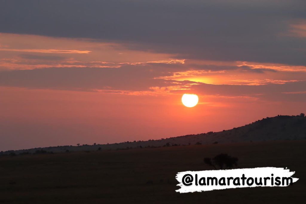 LamaraTourism's tweet photo. Watch a #beautiful Africa Sunset in #Kenya. It’s a clear #sky day on the #equator #masaimara #visitkenya #lamaratourism #beautifuldestinations #bigfivesafari #magicalkenya #MagicalMoments #MagicalKenyaSignatureExperiences https://t.co/3HBxo4Zz2L