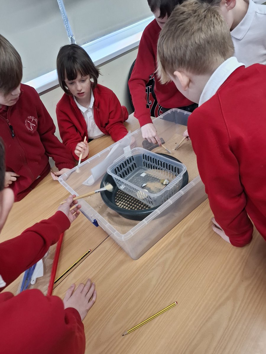 Horn's Mill Primary tweet media