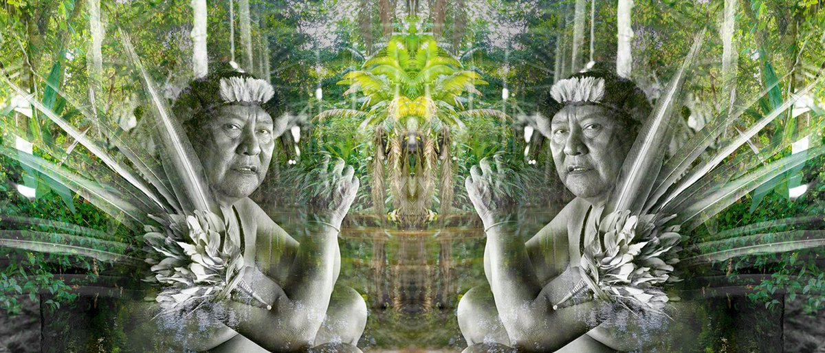 ScarpullaA's tweet photo. PER FAVORE, ASCOLTA IL MESSAGGIO DELLO SCIAMANO YANOMAMI – L’APPELLO DELLA FORESTA PLUVIALE!
E scopri come possiamo aiutare i popoli Indigeni!
#SMETTI di #Comprare #ORO!🛑☠️💍💰💀💍💰🛑
#BoycottGOLD4Yanomami!🏹
#Boycott4Wildlife!🐯🐸🦥🪺🦜🐒🐬🦌🦋🌿🌳🌴🌎 https://t.co/Px0njl467e https://t.co/pGGtDmaXIH