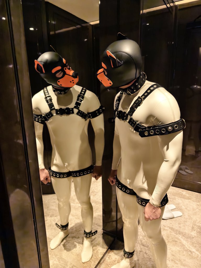 <a href="/LatexZephyr/">Zephyr's Fantasy ✈️ Bangkok May 31 for Pride</a> two puppies?
