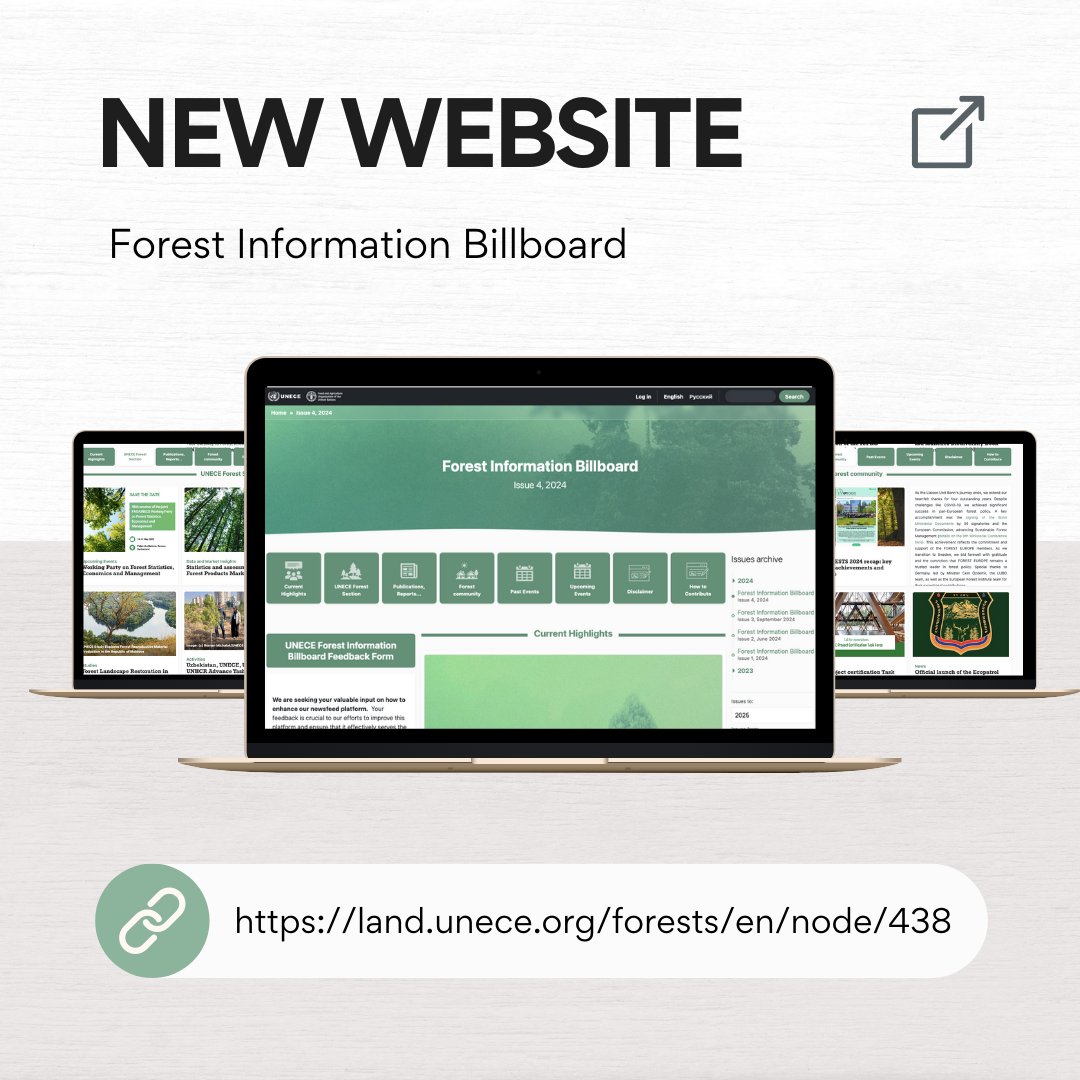 UNECEForests's tweet photo. 🌲 The newest Forest Information Billboard is now live on our new platform, with a fresh new design!💻

Explore the full issue for key updates, including recent and upcoming forest community activities, events, and more!🌳
🔍 https://t.co/tQdm7Jya7w https://t.co/SxnVbadvZw