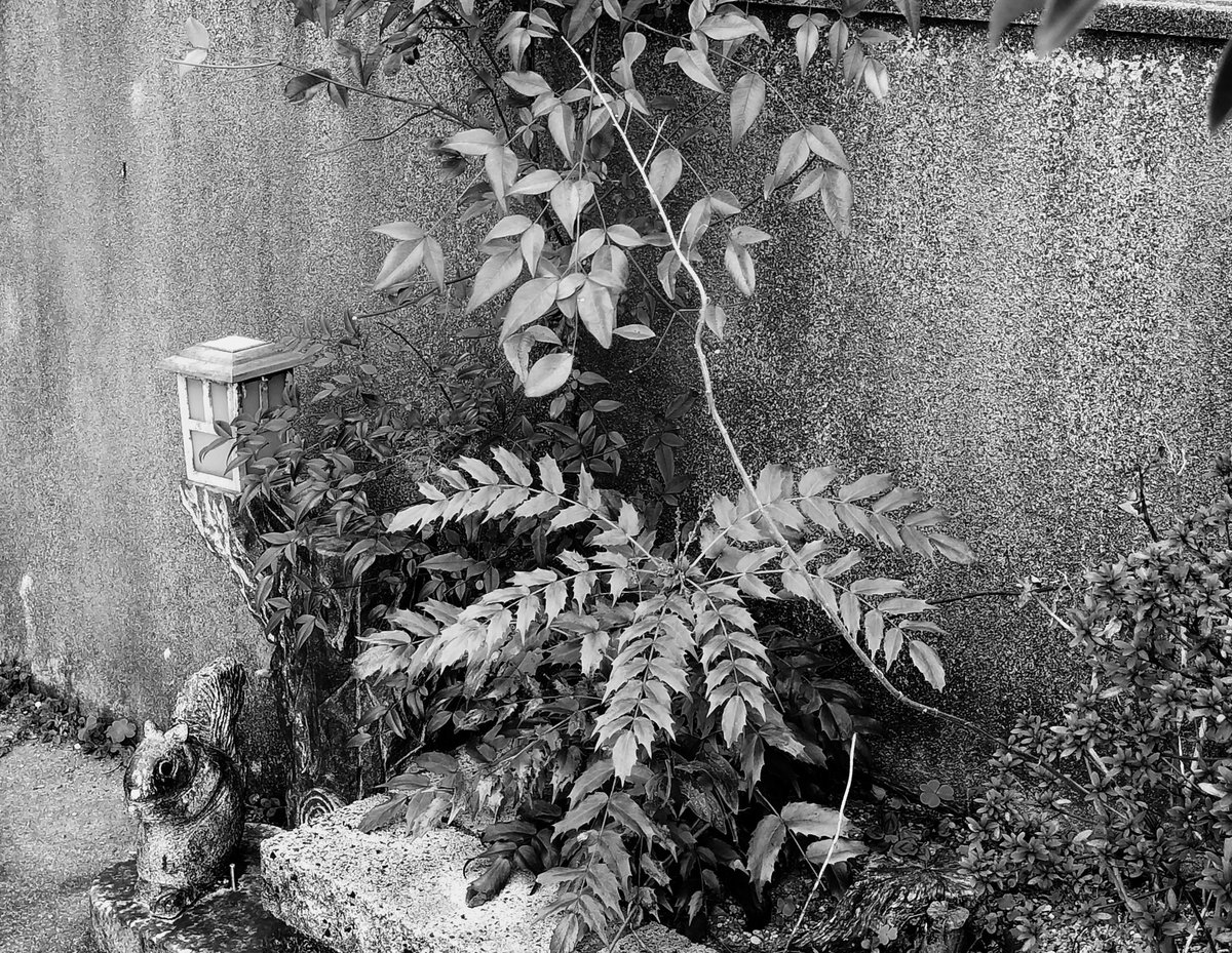 #家を護る諸獸類或いはその眷屬達
栗鼠でしようか
それとも