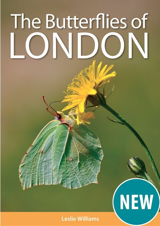 UKBMSLive's tweet photo. Happening tomorrow 7pm, book your (free) place!
Online talk about the Butterflies of London, reviewing butterfly trends in the city from transect data and find out about the new atlas book - Butterflies of London.
#BigCityButterflies
#LNHS
https://t.co/Jk82WJt6mO https://t.co/hgKtnhhXPB