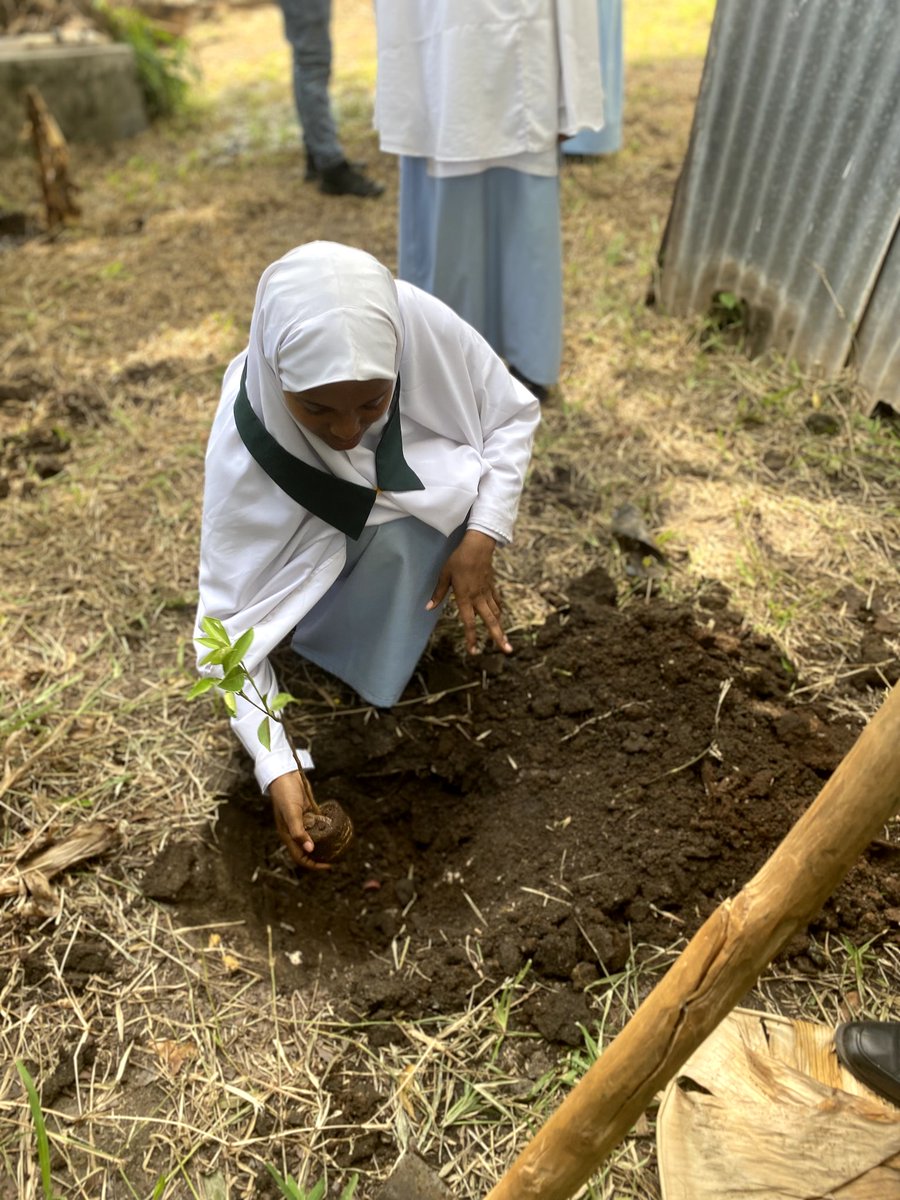 Mybirthdaytree2's tweet photo. π₯Celebrating the power of education and climate action with the Ufaulu Project and My Birthday Tree Campaign. Together, we empower the youth to lead the change and building sustainable community π π
#Bepartofsolutionnotpollution https://t.co/RXuwNjNKSj