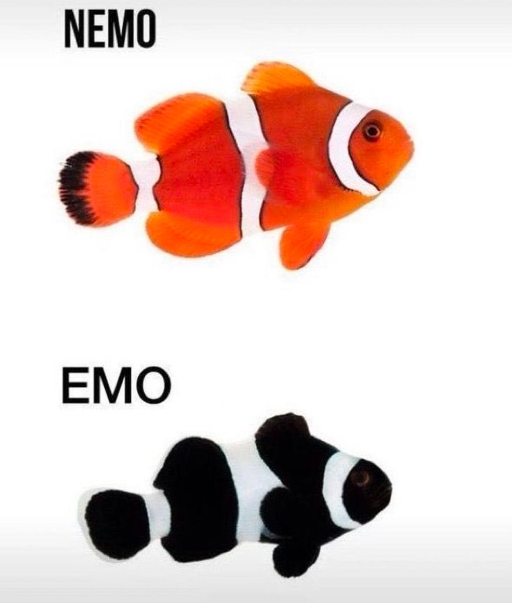 Ingrid af Sandeberg tweet media