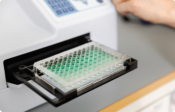 Need a fast, convenient, and reliable method for detecting targets of interest in your samples?

Agrisera offers high-quality, ready-to-use ELISA kits for the quantification of ABA, Rubisco, Vitamin A and various plant toxins!

Browse collection: eu1.hubs.ly/H0g3Lch0
