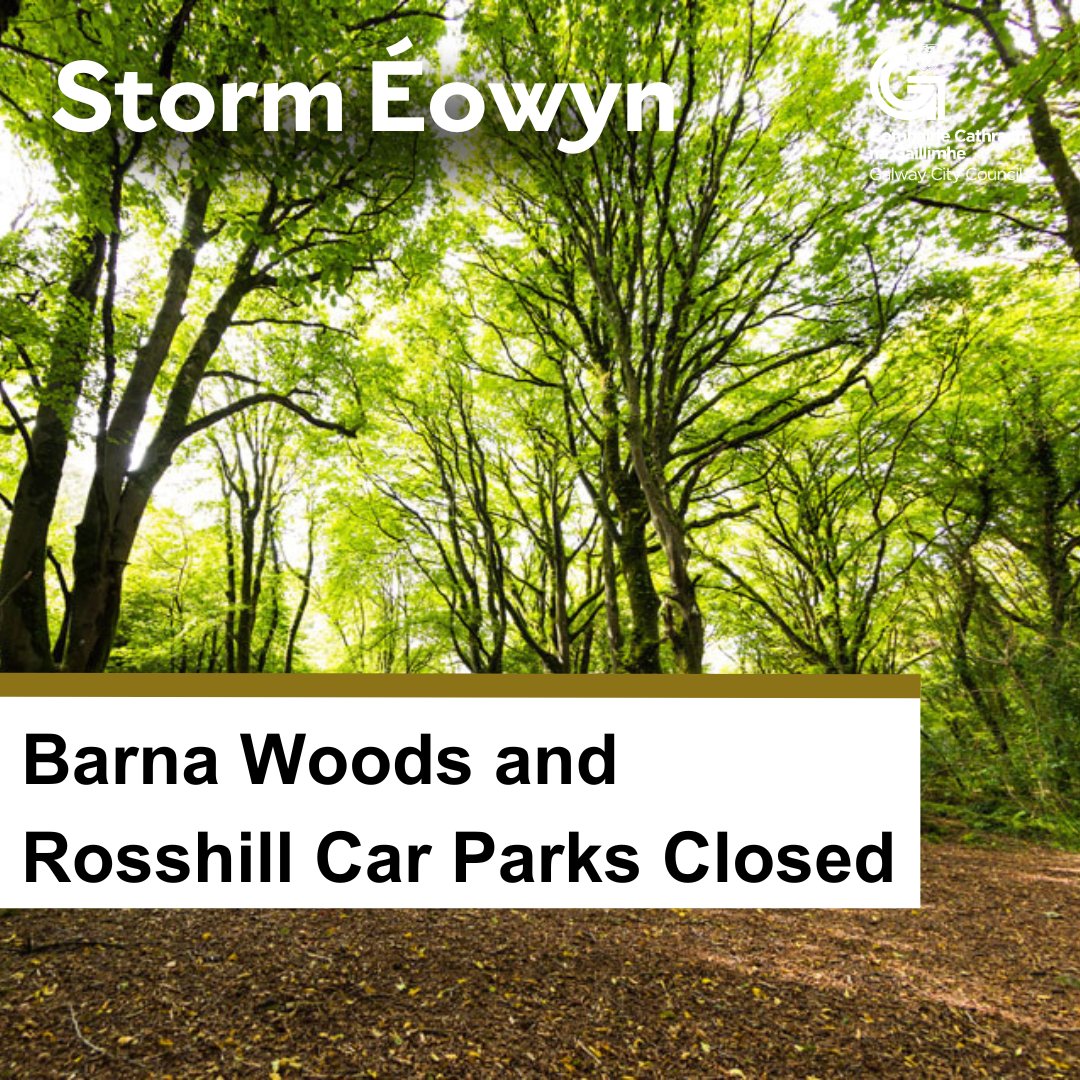 There has been significant damage in city woodlands and parks. 

It will take some time to do a full assessment of damage and start clear ups.

Barna Woods and Rosshill car parks are closed.

Please stay out of woodlands and parks until clean ups are complete.