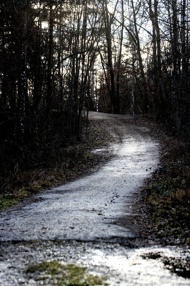 Naturelight0's tweet photo. The way to go... Monday 🤣😮💨☕
#Naturephotography #sreet https://t.co/zJWWnLhMN6