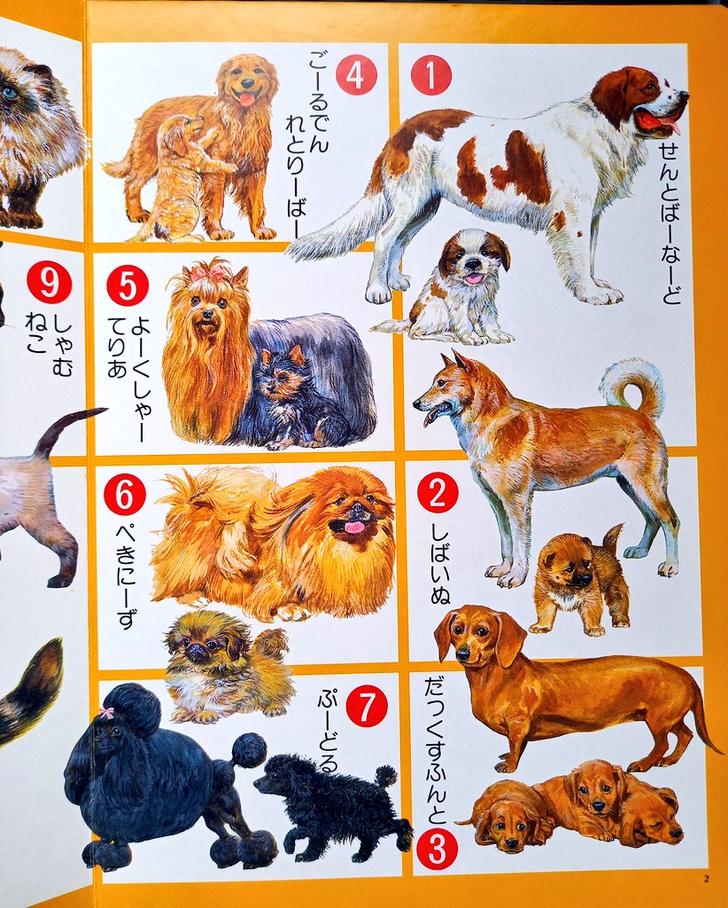 図鑑は写真より絵が良い派です | 古書森羅○古本屋 さんのマンガ