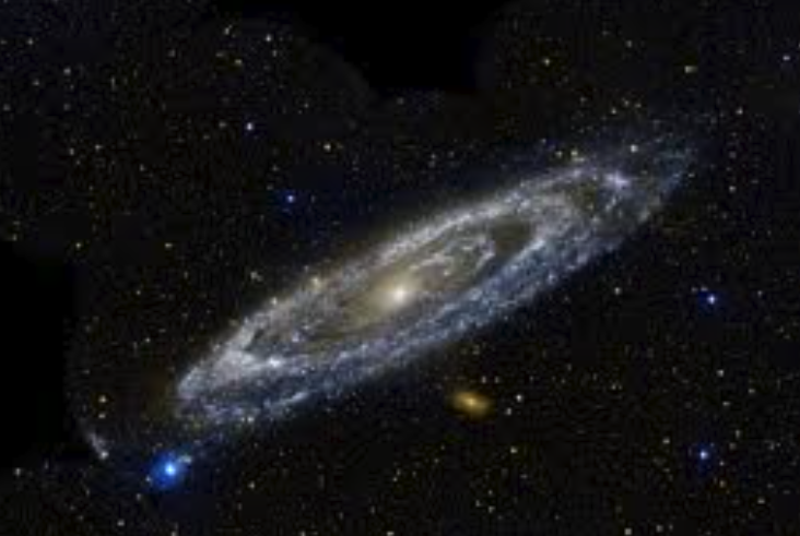 Susana Martínez-Rodríguez tweet media