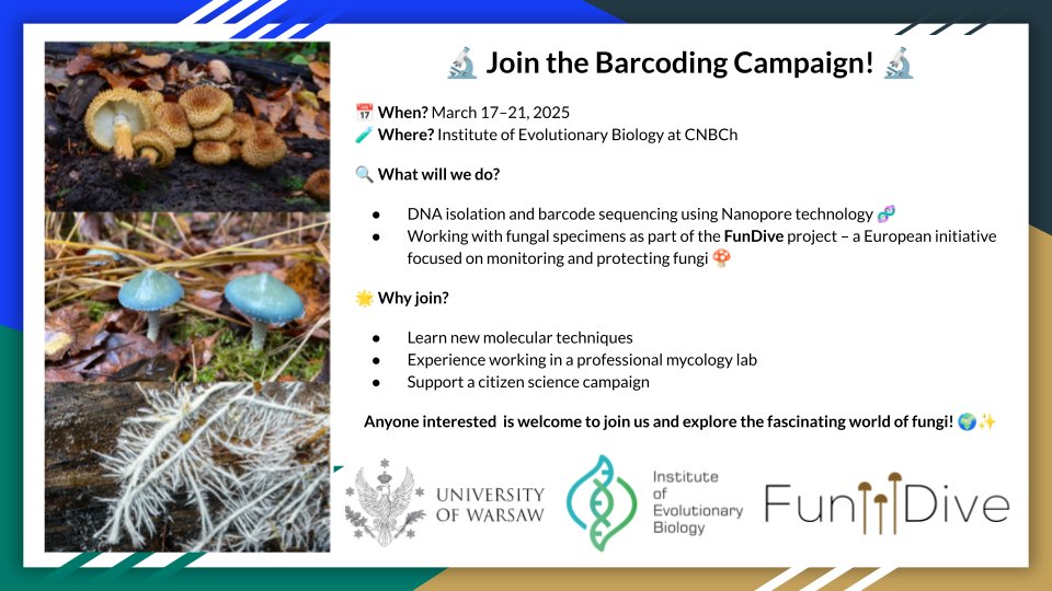 🔬 Join the Barcoding Campaign! 🔬
📅 When? March 17–21, 2025
🧪 Where? Institute of Evolutionary Biology at CNBCh
Registration and more information: [forms.gle/9wvpdSVuXtPRa4…]
#fundive #biodiversa
