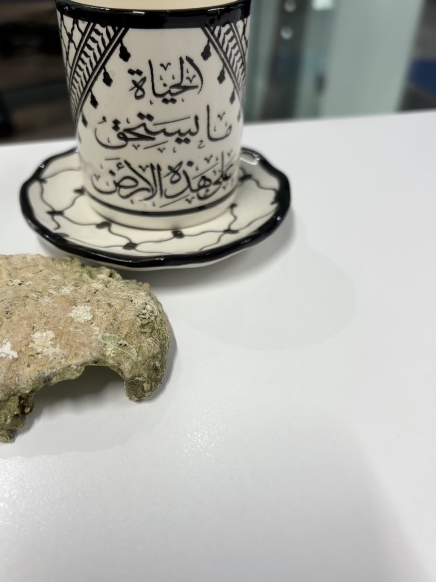واحدة من أغلى الهدايا التي تلقيتها في مشوار العمر.
من العزيز نايف زيداني، مراسل "العربي الجديد"، في الأرض المحتلة.
من عكا.