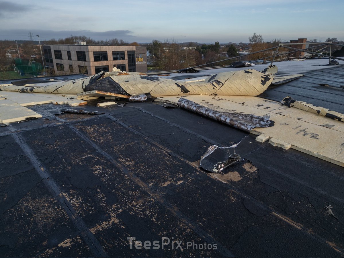 TeesPix.Photos tweet media