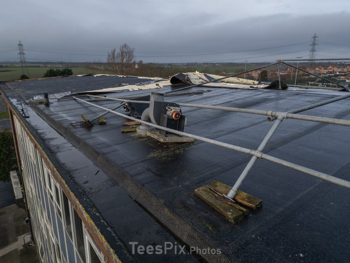 TeesPix.Photos tweet media