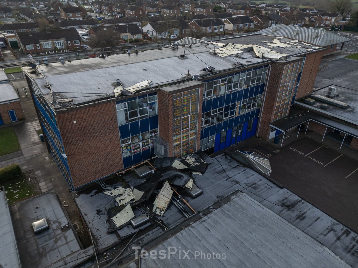 TeesPix.Photos tweet media