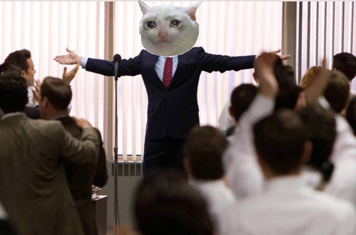 CryingCat_sol's tweet photo. @gordongekko I’M STILL CRYING 

- $Crying Cat 

2ZHYWGndLx76H7NCN4ieMRHSRAAiiWEtJFpHmmXYmE6Z https://t.co/AZPbB2C4rY