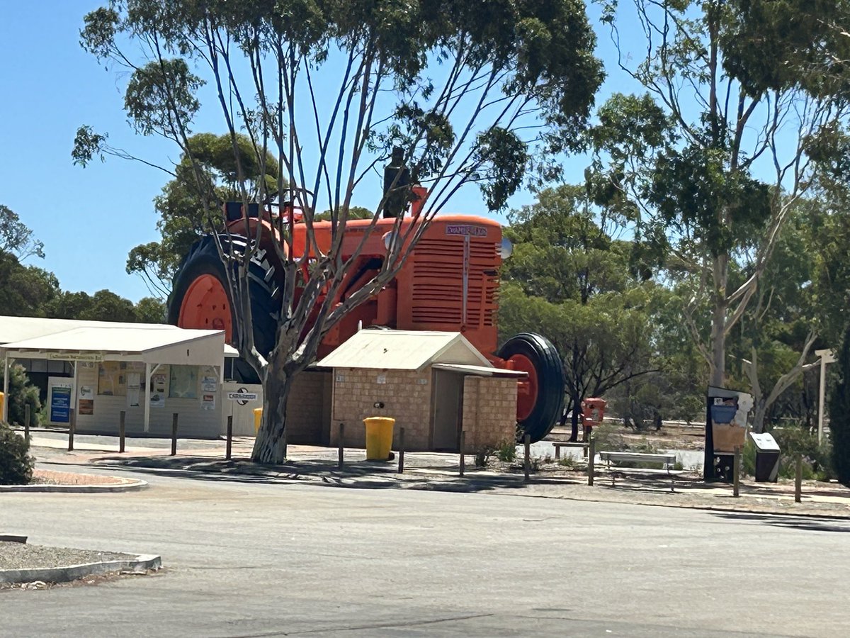 JJB McGill esquire Hoolz. living on McGill land tweet media