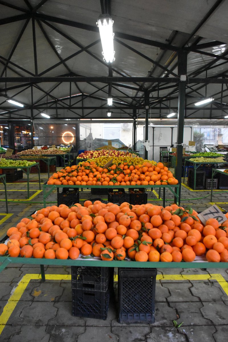 📌 Në Tregun e fruta-perimeve “1 Maji” tashmë me një hapësirë të pastër, të organizuar mirë dhe me produkte të freskëta çdo ditë😍, mund të bëni blerje më të shpejtë dhe komode duke ndihmuar ekonominë e fermereve të tiranës 🍅🍐🍏🫐