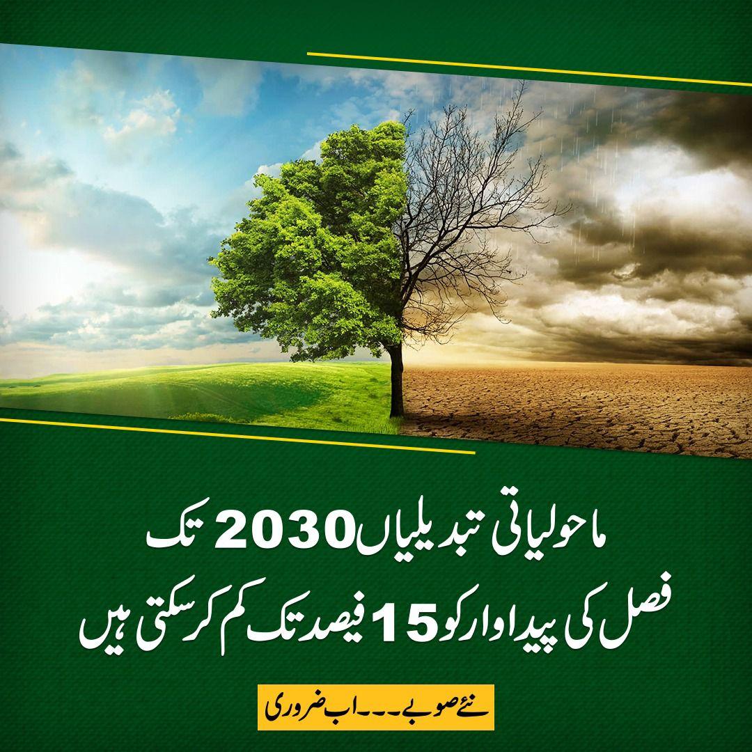 ShamshadChaudry's tweet photo. #نئےصوبوں_کاقیام__مضبوط_پاکستان 
#نئےصوبوں_کا_قیام_ضروری 
#نئےصوبے_اب_ضروری 
#newprovince #we_channel https://t.co/yc06zPth9n