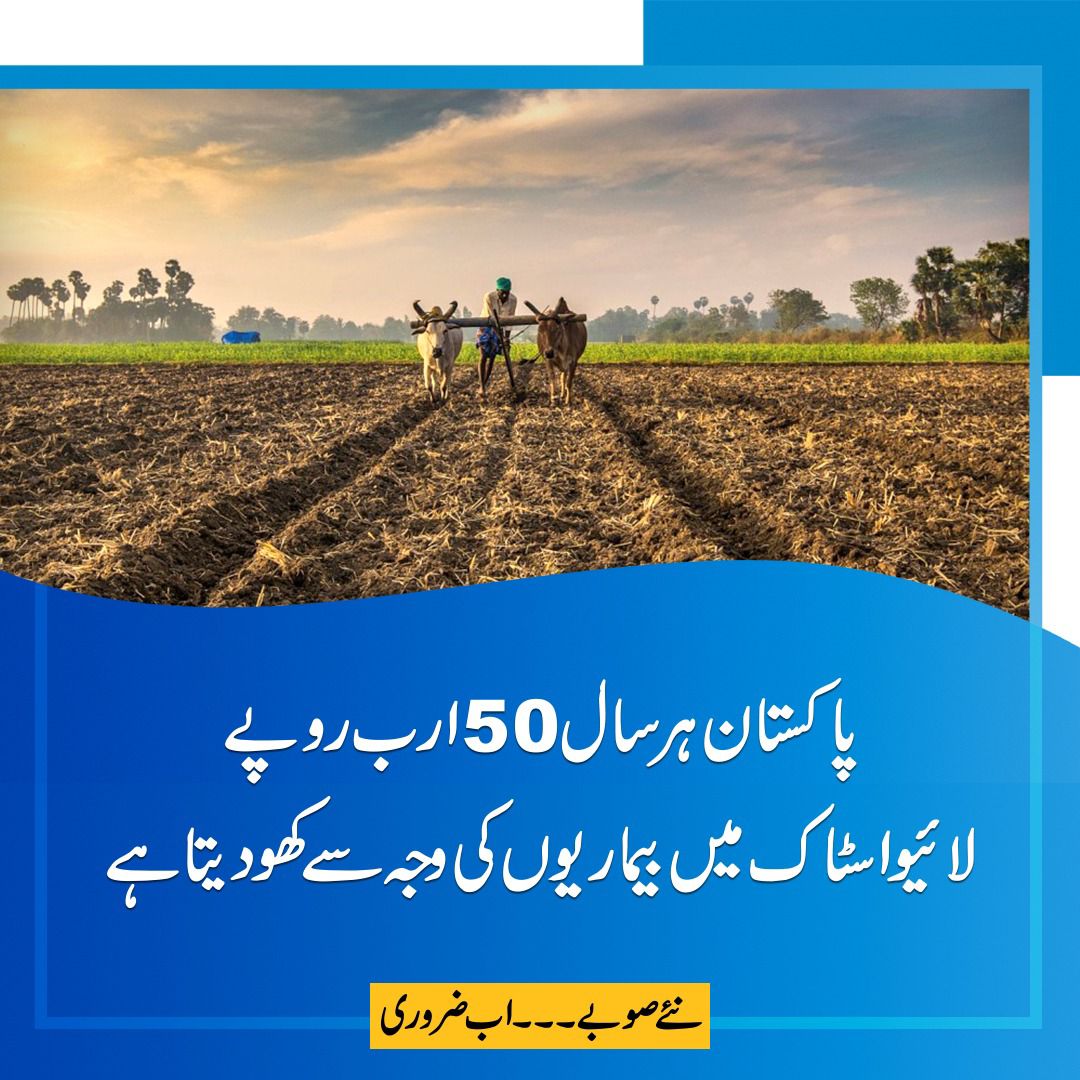 ShamshadChaudry's tweet photo. #نئےصوبوں_کاقیام__مضبوط_پاکستان 
#نئےصوبوں_کا_قیام_ضروری 
#نئےصوبے_اب_ضروری 
#newprovince #we_channel https://t.co/IdONIL7SOy
