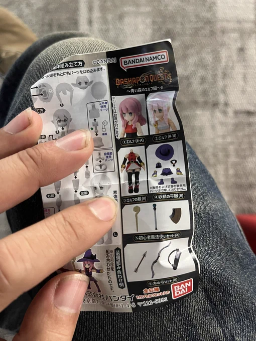 このタイプのガチャで当たったのが装飾品だけだと嫌だなと思ったけどちゃんと素体が当たったよ 