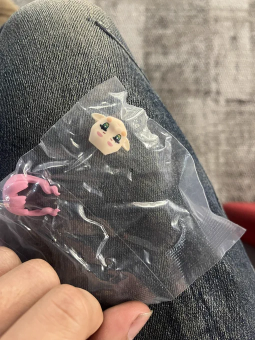 このタイプのガチャで当たったのが装飾品だけだと嫌だなと思ったけどちゃんと素体が当たったよ 