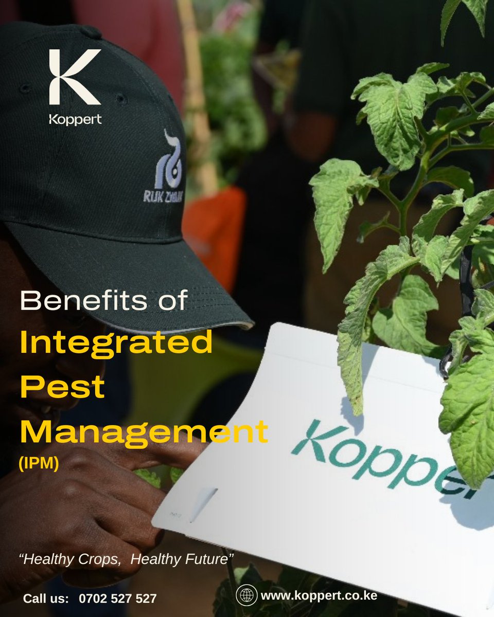 🌱 Smarter  farming starts with IPM!
Grow healthier, higher-yielding crops with Koppert’s IPM solutions.
✅ Cut costs with prevention &amp; smarter resource use.
✅ Beat chemical resistance with diverse, targeted strategies.
✅ Protect ecosystems with safer, chemical-free methods.