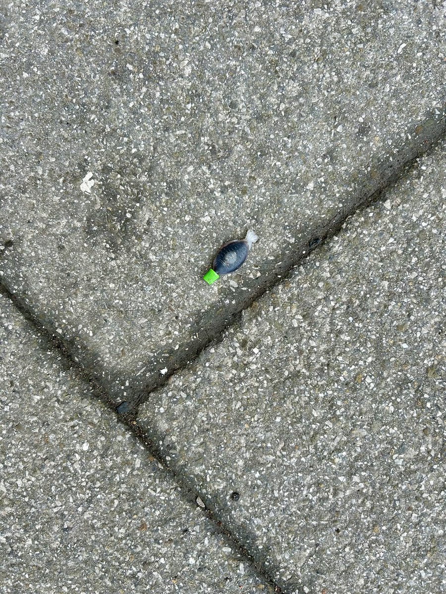 StreetCutlery's tweet photo. @billherbert Then there was this one. The way #Spork said it was like it was still thinking of the previous pics and they made a phrase: ‘Ooooohhh aaaaaa fffffffsssshhh!’ https://t.co/xwh7FQS3R0