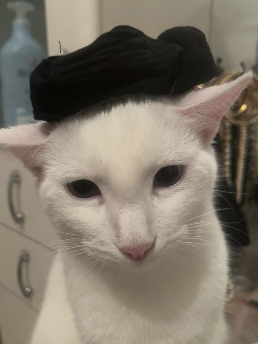 lokimousse tweet media