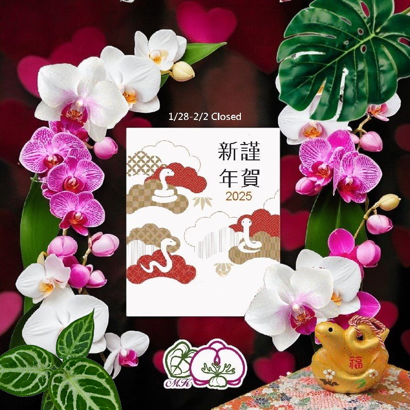 Miki Orchidより皆様のご多幸とご健康をお祈り申し上げます。🌟
1月28日から2月2日まで旧正月休暇をいただきます。
2月3日より通常営業を再開いたしますので、本年もどうぞよろしくお願いいたします！ 🙌