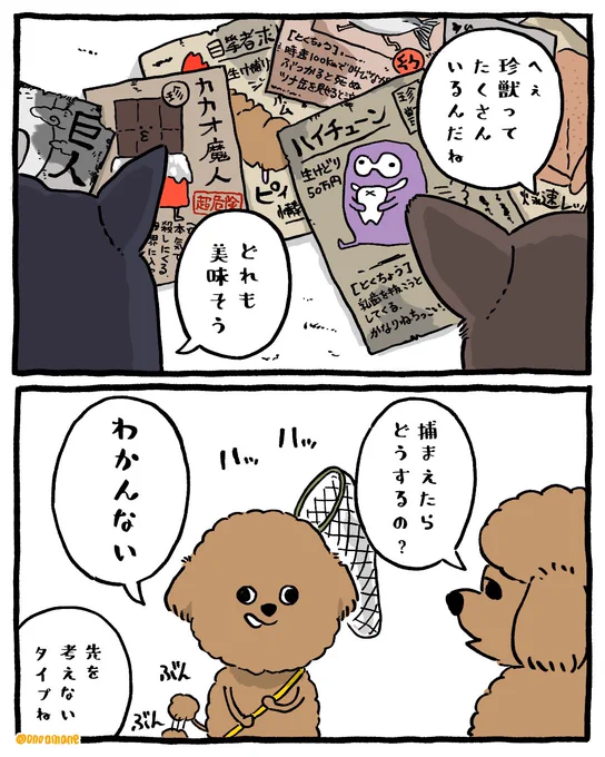 珍獣ハンタートイプー🐶 