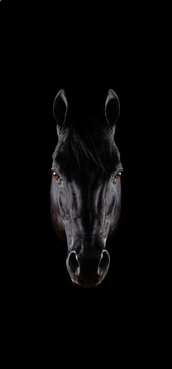 MPlajner's tweet photo. Crypto Black Friday! Awake!!! 🏋🏻‍♀️
💫‼️✅
#XRP 
#XRPArmy 
#XRPCommunity https://t.co/p2UyZ50fp5